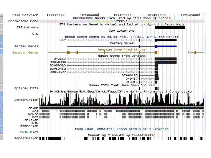 human genome metadata display