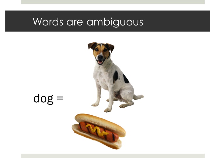 words are ambiguous